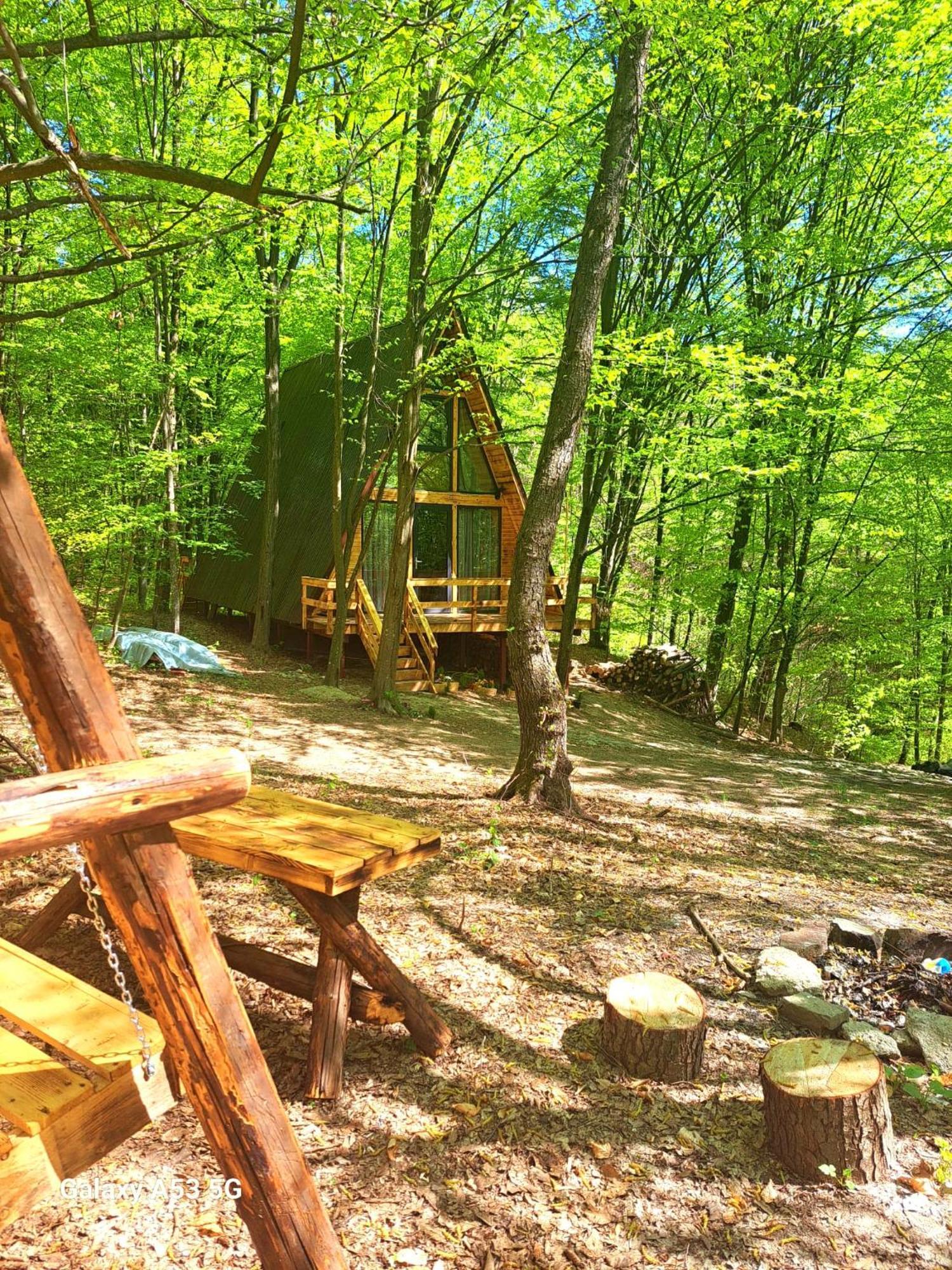 Cabanaaframe Curtea de Argeş Exterior foto