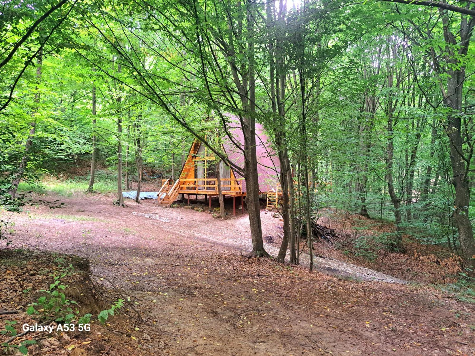 Cabanaaframe Curtea de Argeş Exterior foto